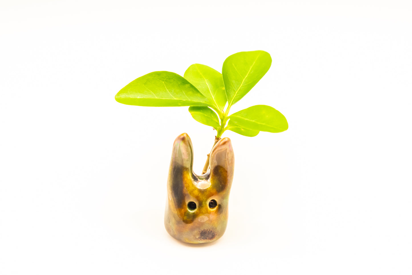 Desk Pet - Magical Tiny Creature with Long Ears - Brown and green