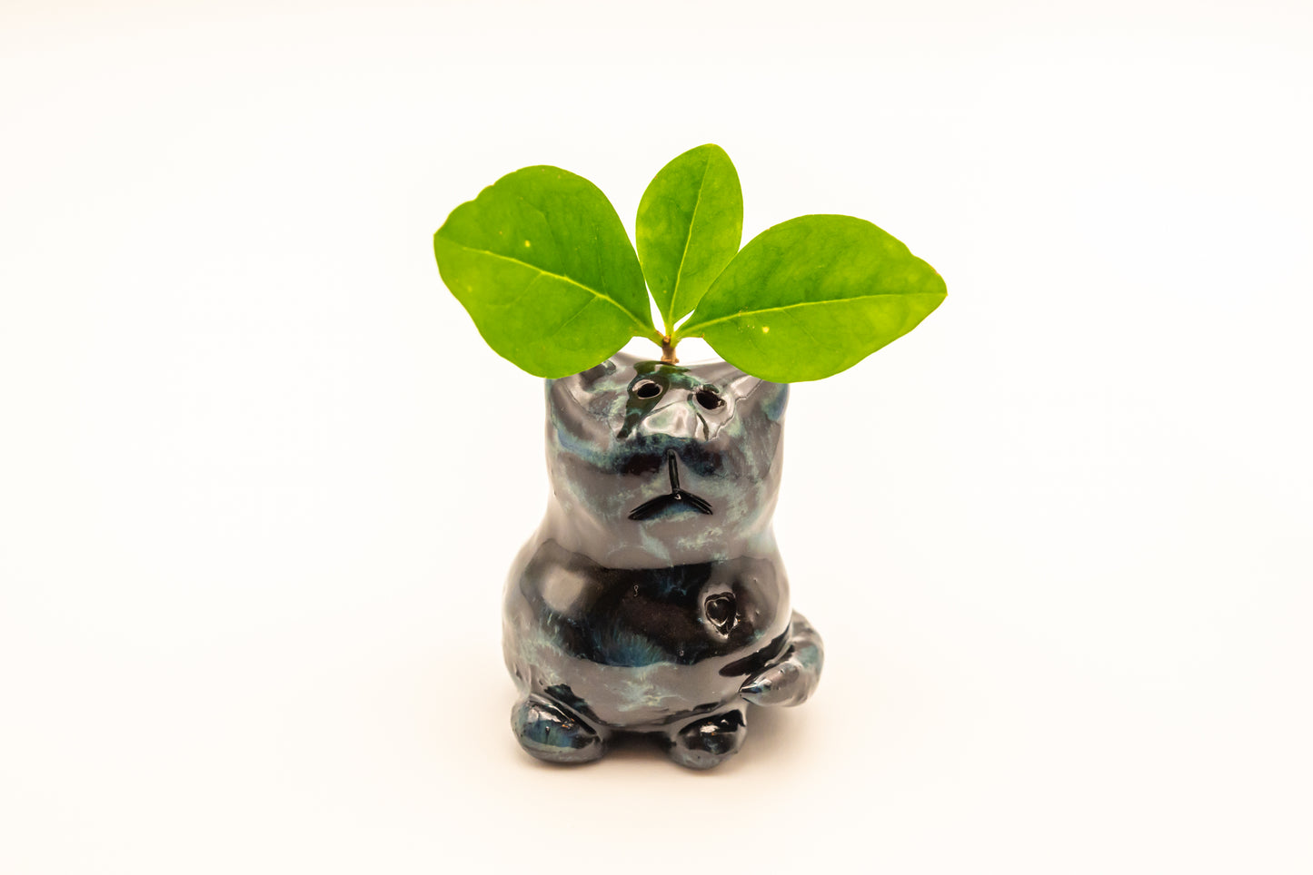 Desk Pet - Black and blue ceramic bear