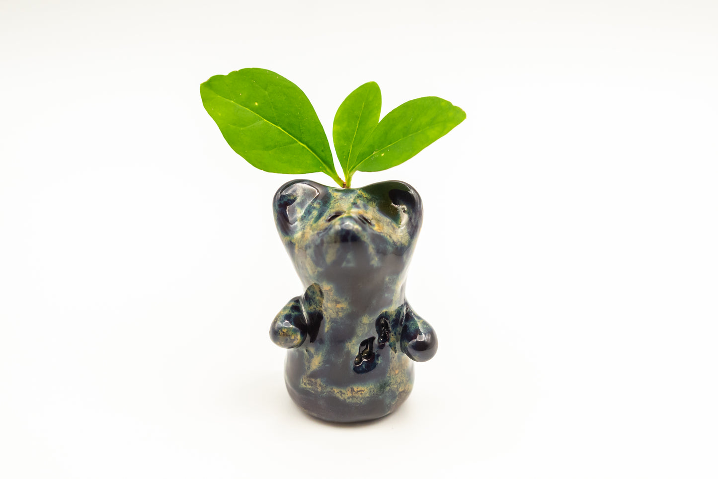 Desk Pet - Unique Bear-Like Animal - Black and shades of blue and brown
