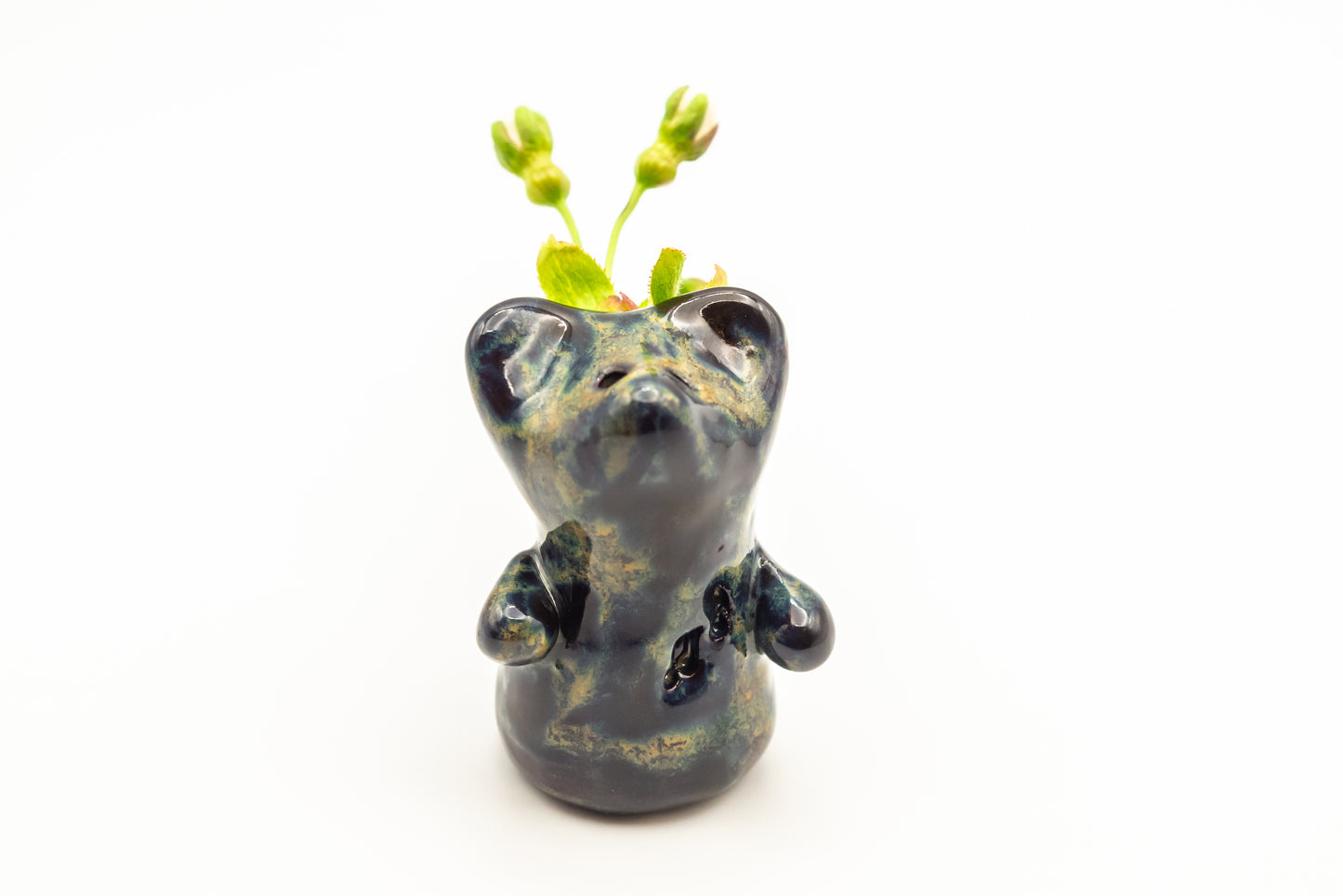 Desk Pet - Unique Bear-Like Animal - Black and shades of blue and brown