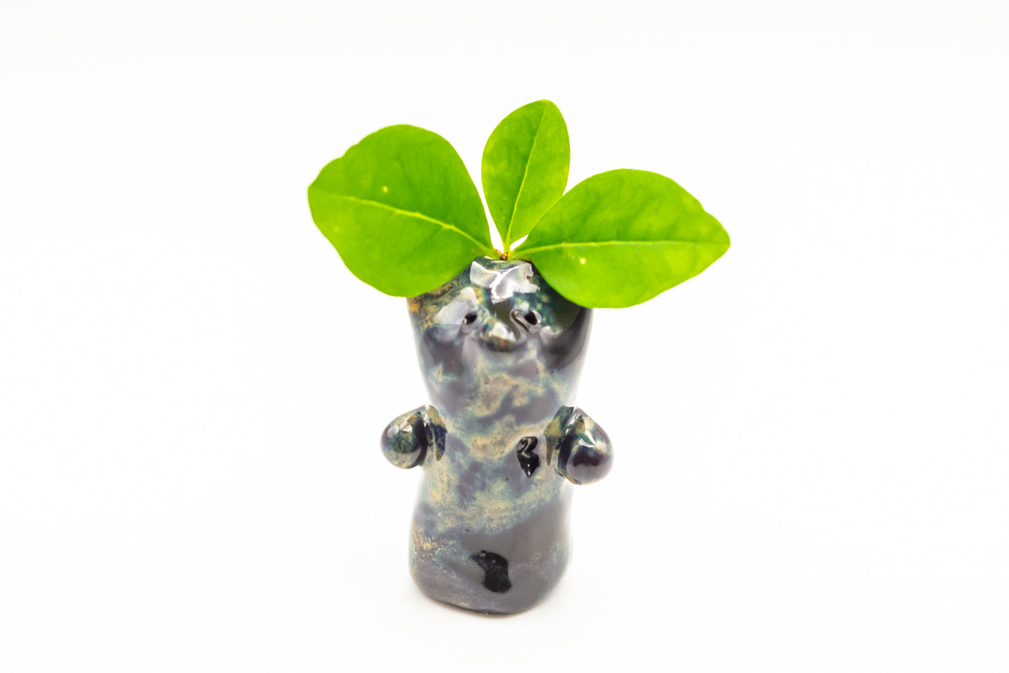 Desk Pet - Adorable Little Critter - Black, blue, brown