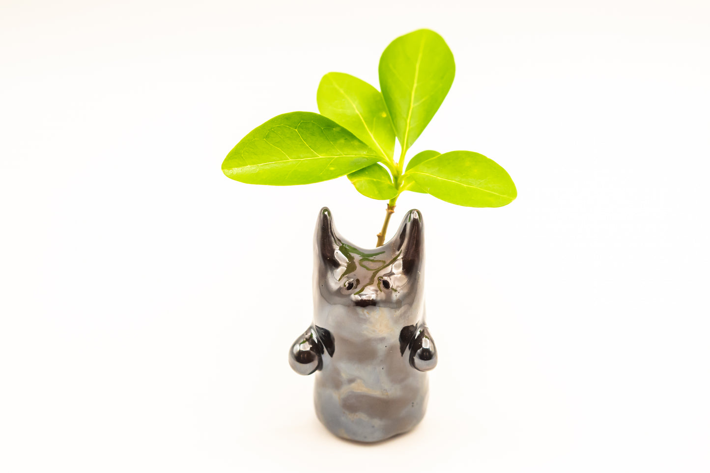 Desk Pet - Enchanting Ceramic Critter - Black