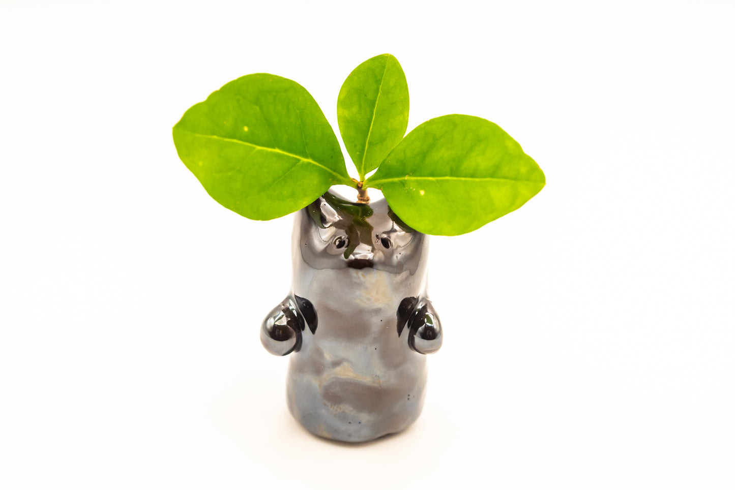Desk Pet - Enchanting Ceramic Critter - Black