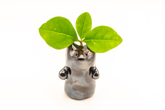 Desk Pet - Enchanting Ceramic Critter - Black
