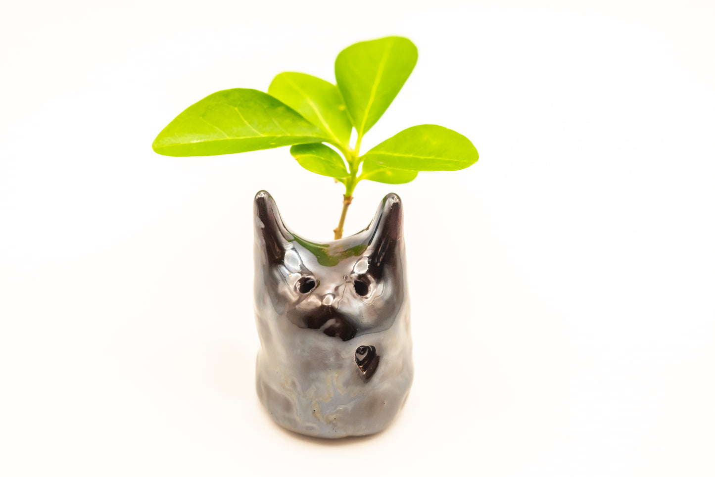 Desk Pet - Quirky Desk Creature - Black