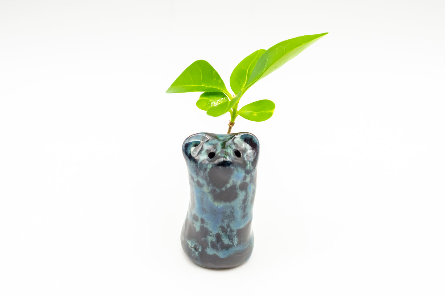 Desk Pet - Cheerful Miniature Friend - Black and Blue