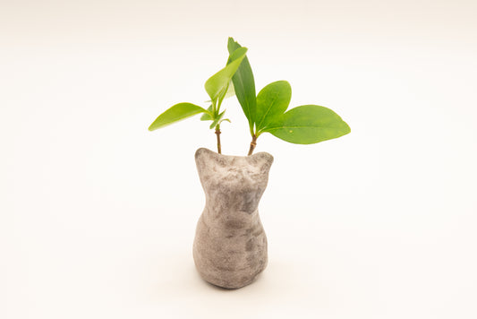 Desk Pet - Endearing Ceramic Critter - Grey